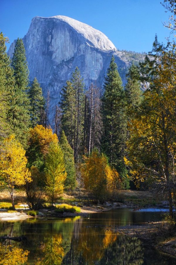 A view of the treeline at Yosemite. 
