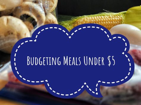 Meals you can Make on a VERY Small Budget