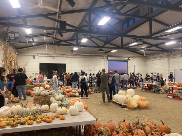 The Ag Harvest Festival Brings all the Fall Vibes to Tulare Campus!