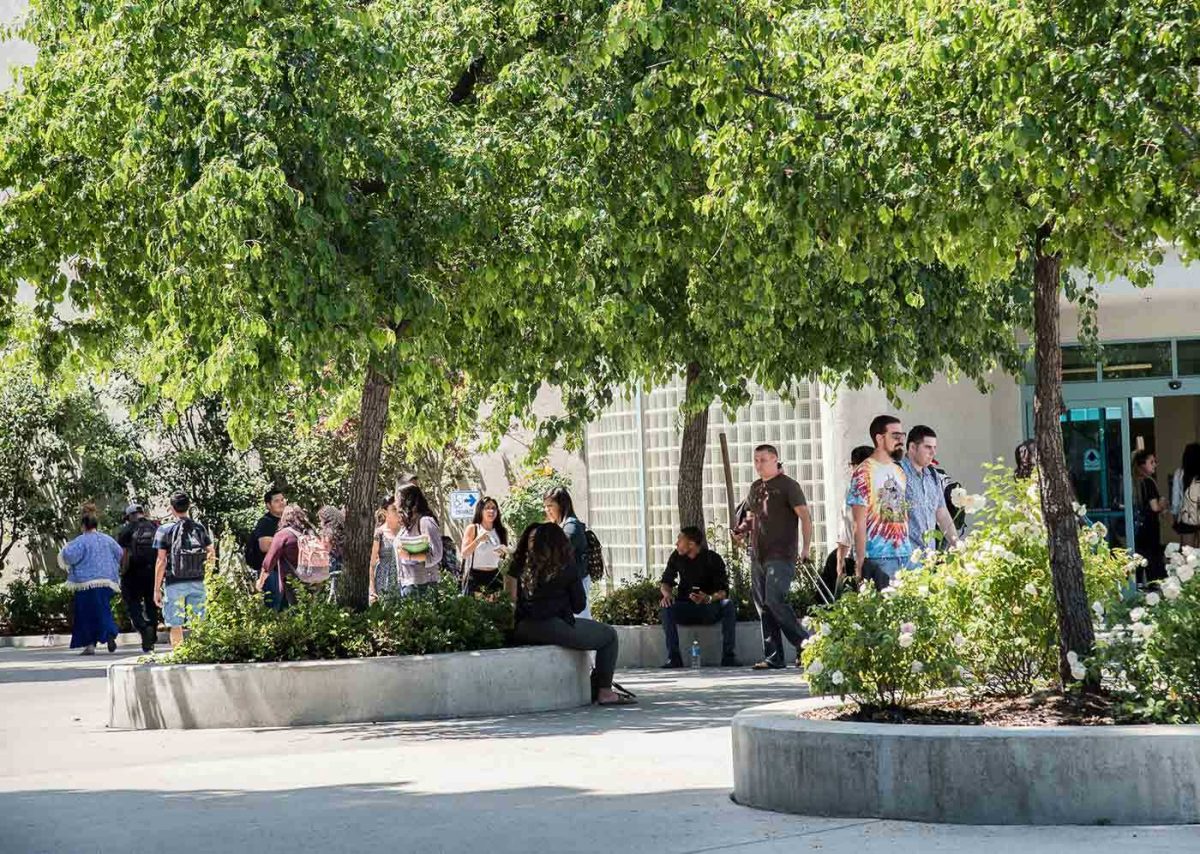 Welcome Back Giants: The Fall Semester is Upon Us