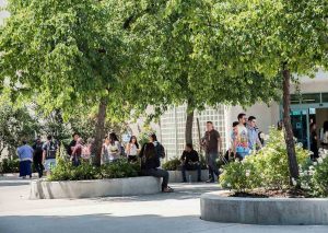 Welcome Back Giants: The Fall Semester is Upon Us