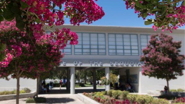 College of the Sequoias Fires Part Time Professor Over "Off-Color Inappropriate Comments"