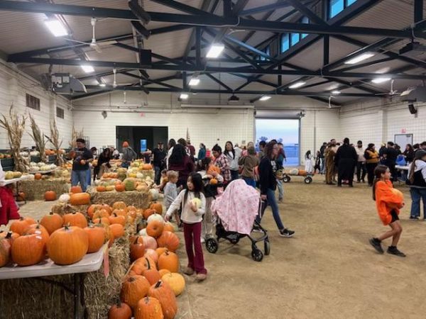 COS Agriculture Departments Celebrates Their Annual Harvest Fest
