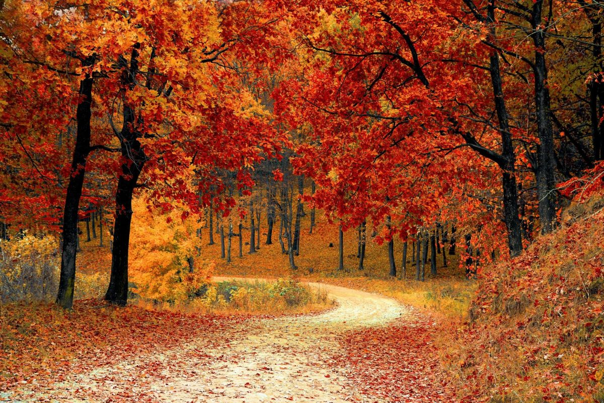 What Are COS Students Wearing This Autumn?