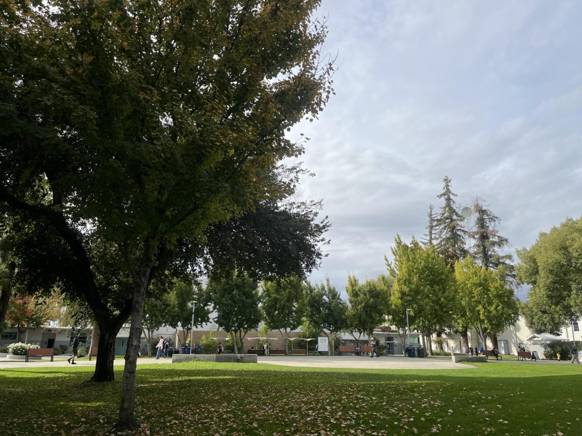 What Are College of the Sequoias Student's Plans for Thanksgiving Break?