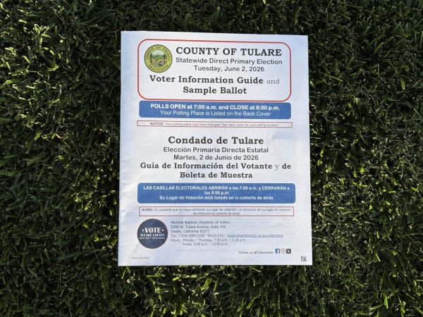 Voting for Dummies: A voter's guide to the California Primary Elections
